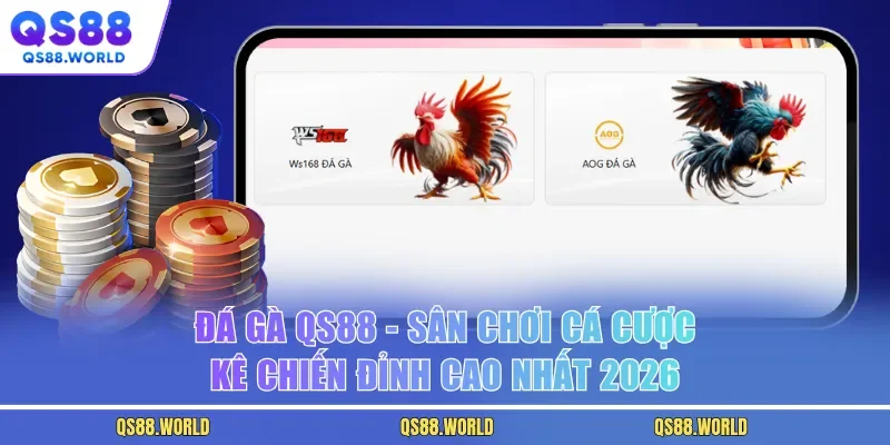 Đá Gà QS88 - Sân Chơi Cá Cược Kê Chiến Đỉnh Cao Nhất 2026